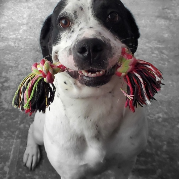 Meet your Posher, Heather - Picture 1 of 1